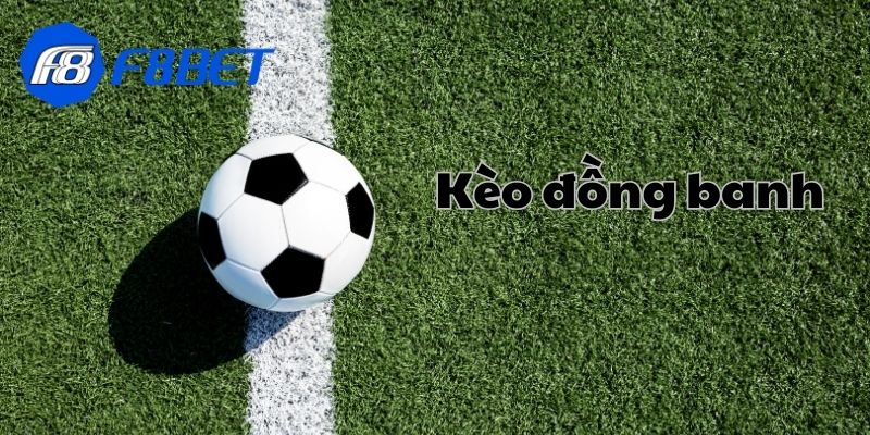 Lợi ích tuyệt vời mà bạn nên biết
