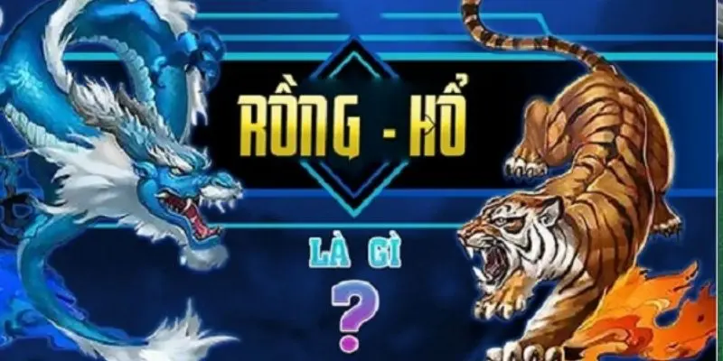 Luật tham gia rồng hổ chuẩn
